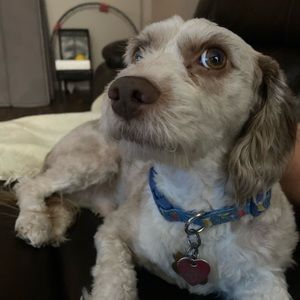 Meet your Posher, Eduardo